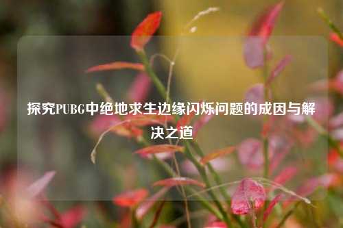 探究PUBG中绝地求生边缘闪烁问题的成因与解决之道