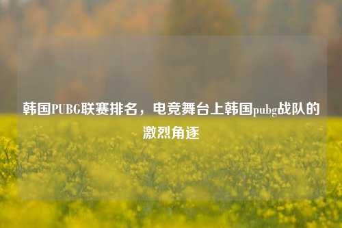 韩国PUBG联赛排名,电竞舞台上韩国pubg战队的激烈角逐