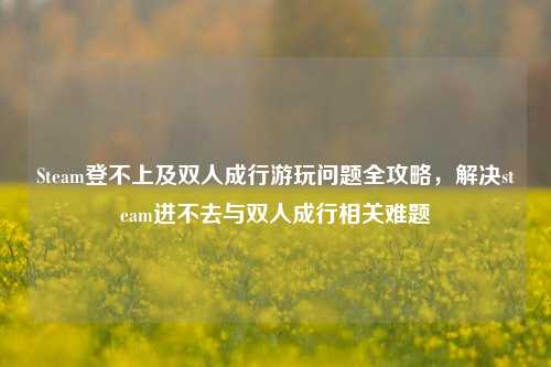 Steam登不上及双人成行游玩问题全攻略,解决steam进不去与双人成行相关难题