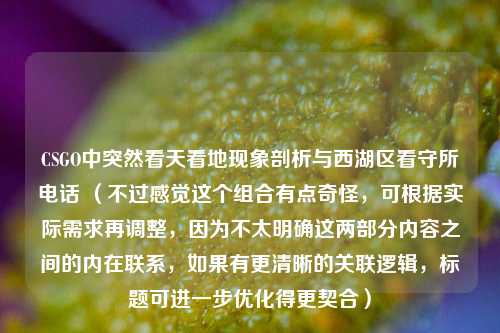 CSGO中突然看天看地现象剖析与西湖区看守所 (不过感觉这个组合有点奇怪,可根据实际需求再调整,因为不太明确这两部分内容之间的内在联系,如果有更清晰的关联逻辑,标题可进一步优化得更契合)
