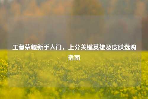 王者荣耀新手入门,上分关键英雄及皮肤选购指南