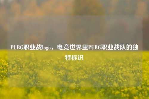 PUBG职业战logo,电竞世界里PUBG职业战队的独特标识