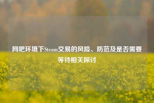网吧环境下Steam交易的风险、防范及是否需要等待相关探讨