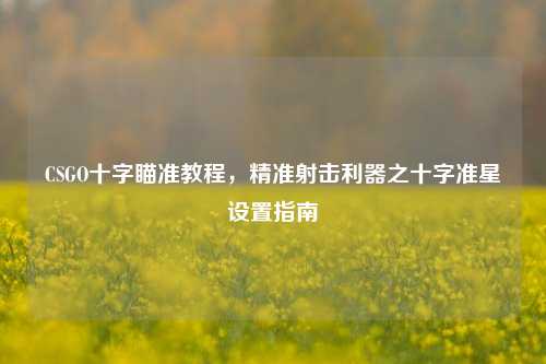 CSGO十字瞄准教程,精准射击利器之十字准星设置指南