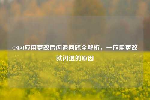 CSGO应用更改后闪退问题全解析,一应用更改就闪退的原因