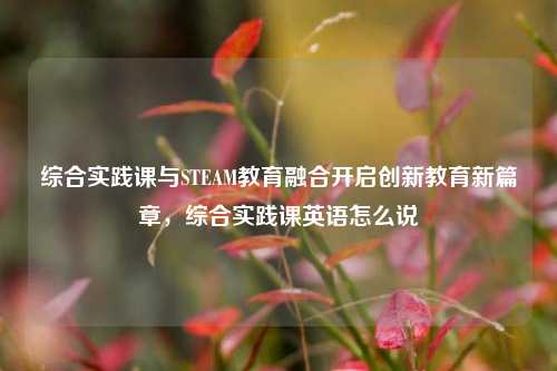 综合实践课与STEAM教育融合开启创新教育新篇章,综合实践课英语怎么说