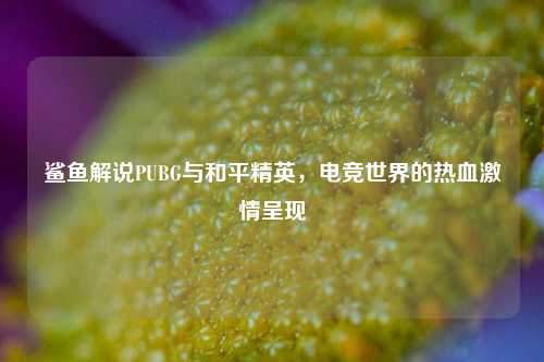 鲨鱼解说PUBG与和平精英,电竞世界的热血 呈现