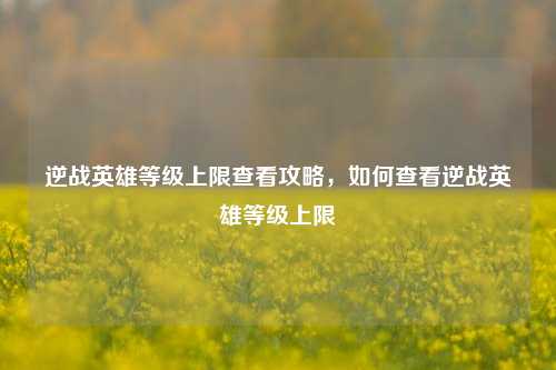 逆战英雄等级上限查看攻略,如何查看逆战英雄等级上限