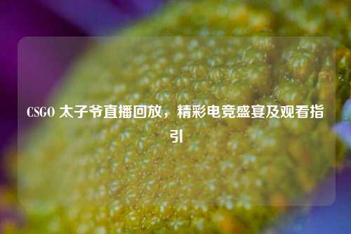 CSGO 太子爷直播回放,精彩电竞盛宴及观看指引