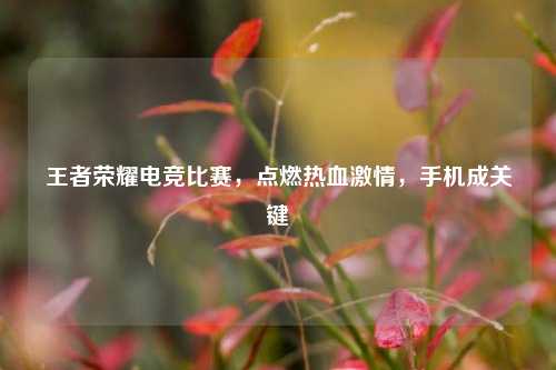 王者荣耀电竞比赛,点燃热血 ,手机成关键