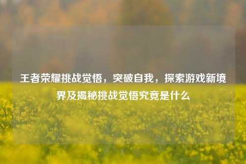 王者荣耀挑战觉悟,突破自我,探索游戏新境界及揭秘挑战觉悟究竟是什么