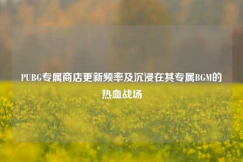 PUBG专属商店更新频率及沉浸在其专属BGM的热血战场