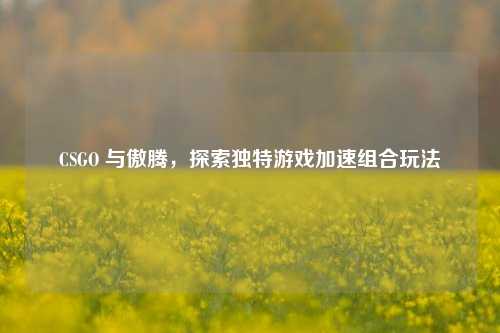 CSGO 与傲腾,探索独特游戏加速组合玩法