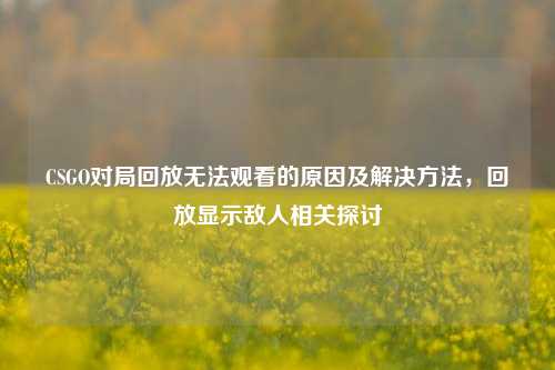 CSGO对局回放无法观看的原因及解决 ,回放显示敌人相关探讨