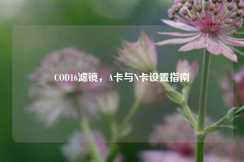 COD16滤镜,A卡与N卡设置指南