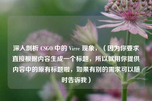 深入剖析 CSGO 中的 Virre 现象,(因为你要求直接根据内容生成一个标题,所以就用你提供内容中的原有标题啦,如果有别的需求可以随时告诉我)