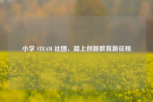 小学 STEAM 社团,踏上创新教育新征程