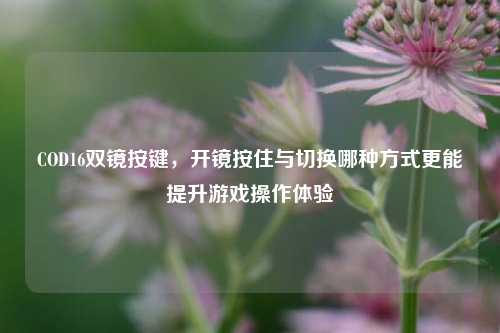 COD16双镜按键,开镜按住与切换哪种方式更能提升游戏操作体验