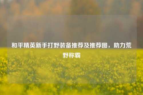 和平精英新手打野装备推荐及推荐图,助力荒野称霸