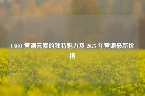 CSGO 黄铜元素的独特魅力及 2025 年黄铜最新价格