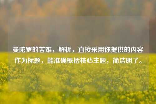 曼陀罗的苦难,解析,直接采用你提供的内容作为标题,能准确概括核心主题,简洁明了。