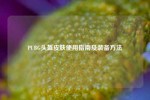 PUBG头盔皮肤使用指南及装备