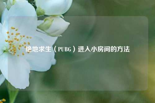 绝地求生(PUBG)进入小房间的