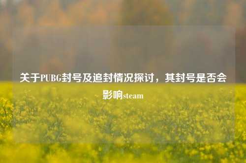 关于PUBG封号及追封情况探讨,其封号是否会影响steam