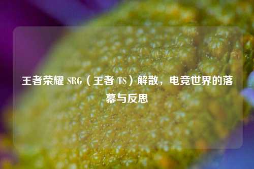 王者荣耀 SRG(王者 TS)解散,电竞世界的落幕与反思
