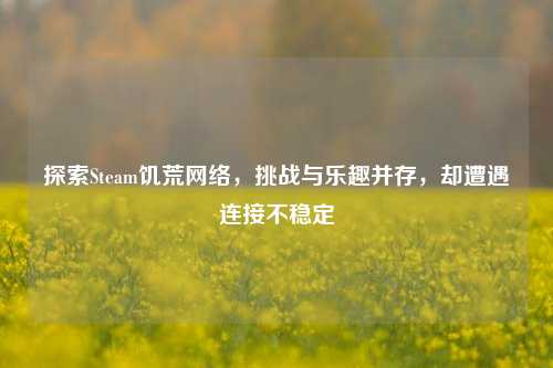 探索Steam饥荒 ,挑战与乐趣并存,却遭遇连接不稳定