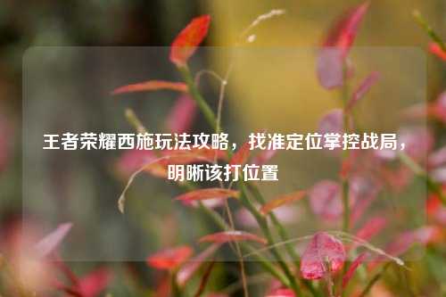 王者荣耀西施玩法攻略,找准定位掌控战局,明晰该打位置