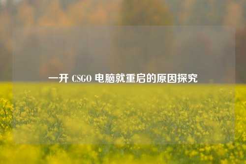 一开 CSGO 电脑就重启的原因探究