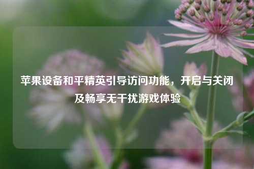 苹果设备和平精英引导访问功能,开启与关闭及畅享无干扰游戏体验