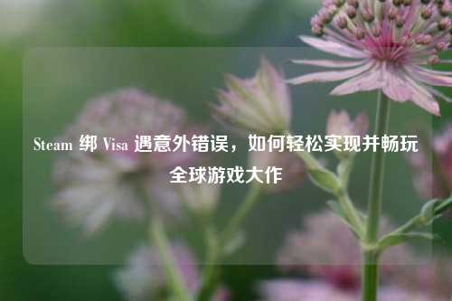 Steam 绑 Visa 遇意外错误,如何轻松实现并畅玩全球游戏大作