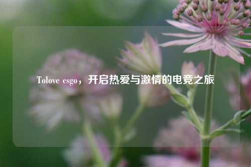 Tolove csgo,开启热爱与 的电竞之旅
