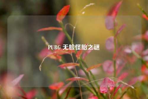 PUBG 无脸怪胎之谜