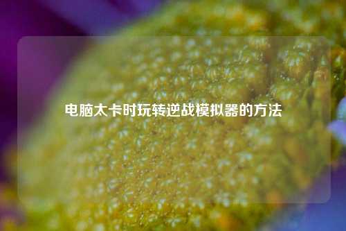 电脑太卡时玩转逆战模拟器的