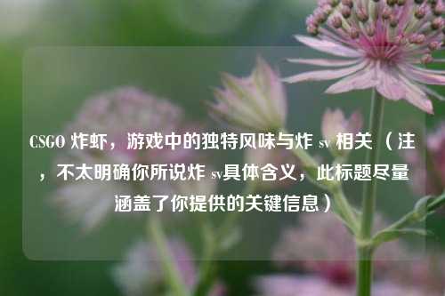 CSGO 炸虾,游戏中的独特风味与炸 sv 相关 (注,不太明确你所说炸 sv具体含义,此标题尽量涵盖了你提供的关键信息)