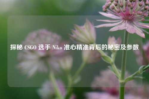 探秘 CSGO 选手 Niko 准心精准背后的秘密及参数