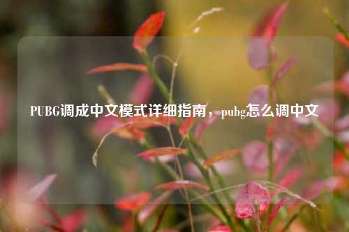 PUBG调成中文模式详细指南,pubg怎么调中文