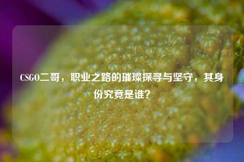 CSGO二哥,职业之路的璀璨探寻与坚守,其身份究竟是谁?