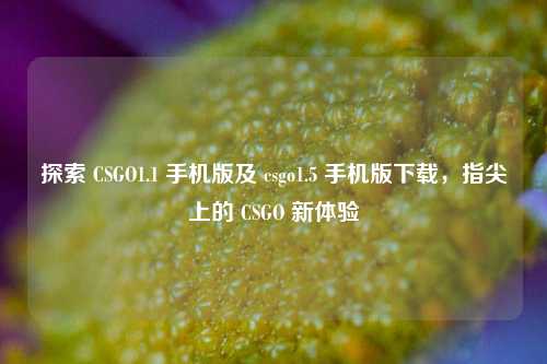 探索 CSGO1.1 手机版及 csgo1.5 手机版下载,指尖上的 CSGO 新体验