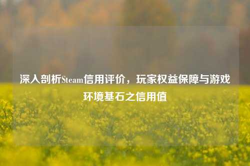深入剖析Steam信用评价,玩家权益保障与游戏环境基石之信用值