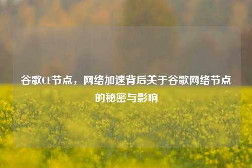 谷歌CF节点, 加速背后关于谷歌 节点的秘密与影响