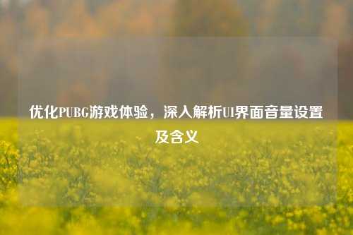 优化PUBG游戏体验,深入解析UI界面音量设置及含义