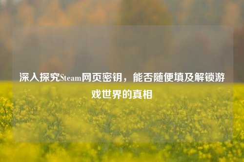 深入探究Steam网页密钥,能否随便填及解锁游戏世界的真相