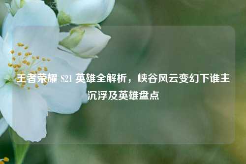 王者荣耀 S21 英雄全解析,峡谷风云变幻下谁主沉浮及英雄盘点