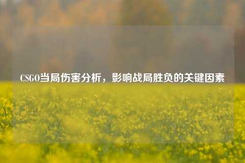 CSGO当局伤害分析,影响战局胜负的关键因素