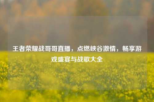 王者荣耀战哥哥直播,点燃峡谷 ,畅享游戏盛宴与战歌大全