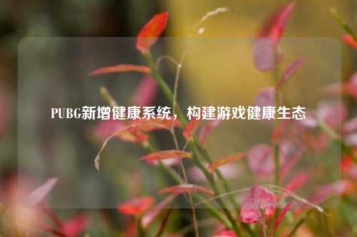 PUBG新增健康系统,构建游戏健康生态